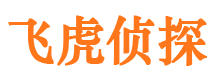 平阴外遇取证